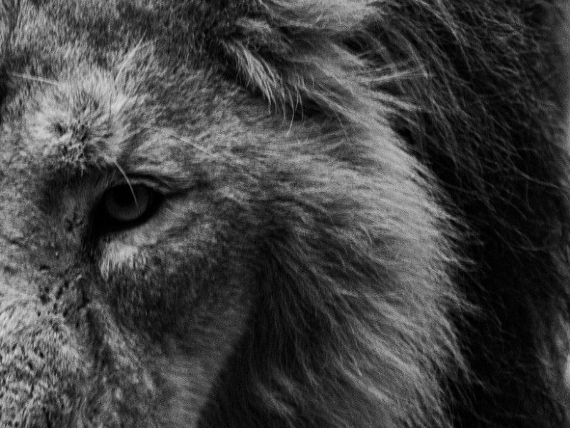 A Nice Man Is Not a Good&nbsp;Man