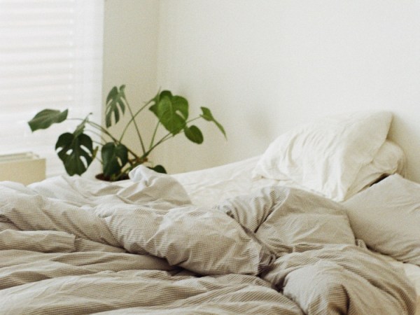 The Morality of Natural Family&nbsp;Planning